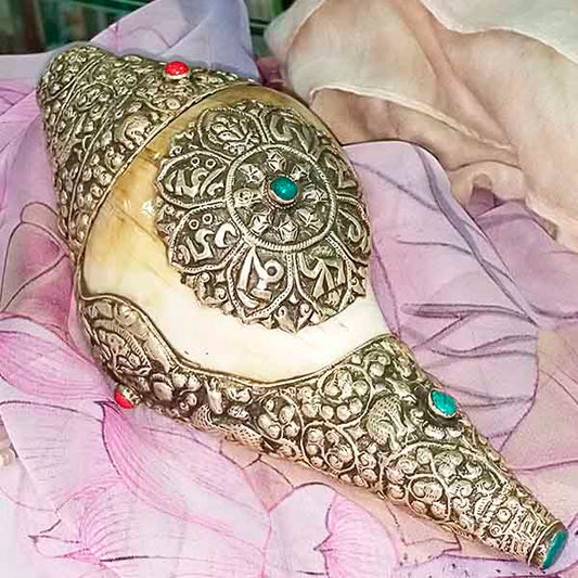 Caracola con mantra - Tienda Budista