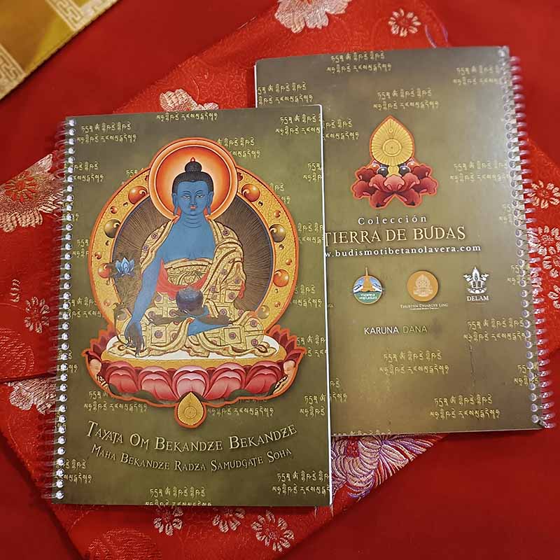 Cuaderno Buda de la Medicina