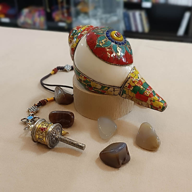 Caracola tibetana malaquita