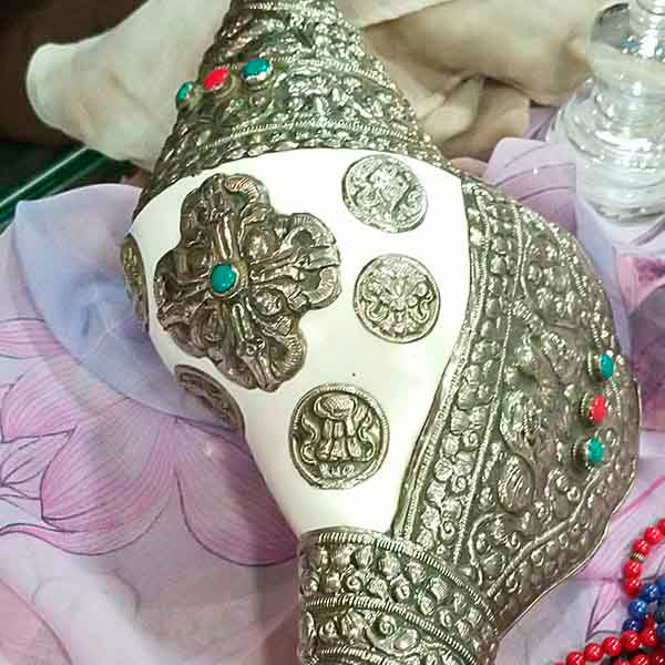 Caracola Símbolos Auspiciosos - Tienda Budista