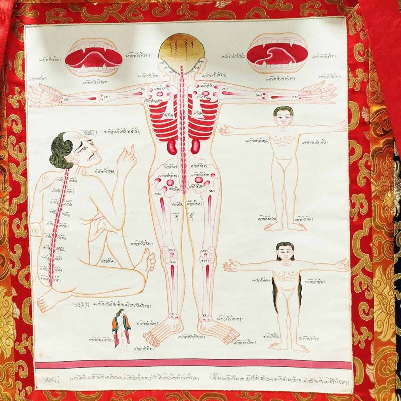 Yoga medicina tibetana - Imagen 2