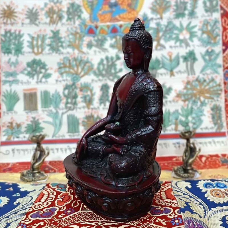 Buda Shakyamuni - Imagen 3