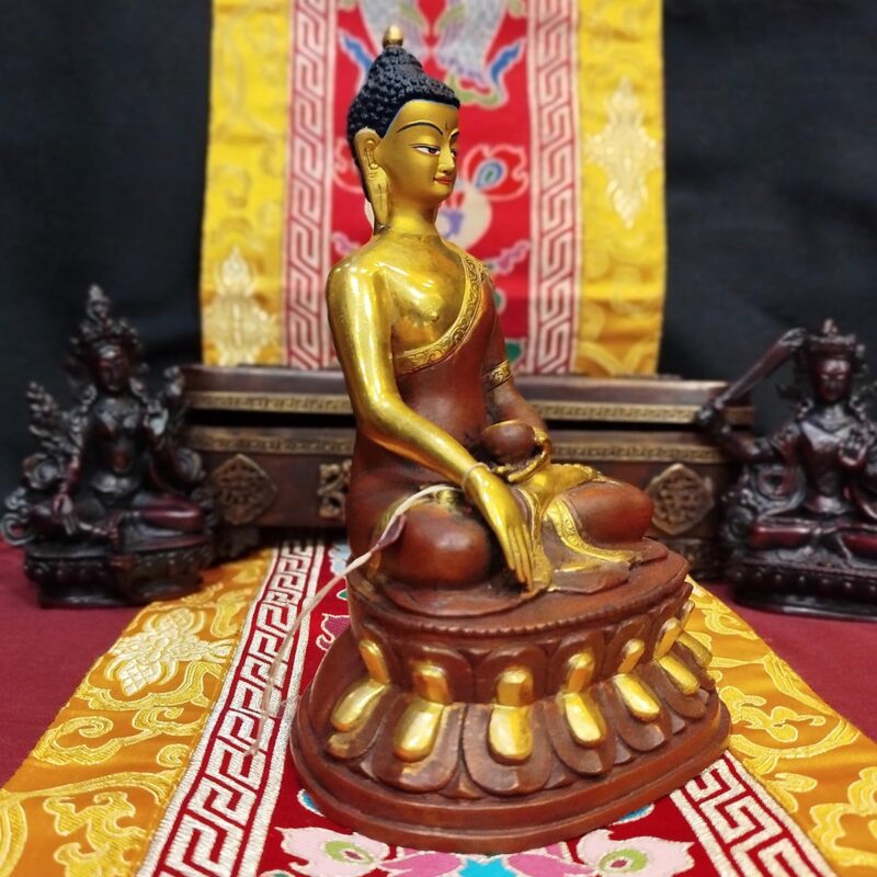 Buda Shakyamuni - Imagen 3