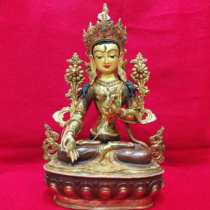 Tara Blanca